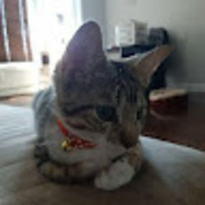 Meet your Posher, Young jun